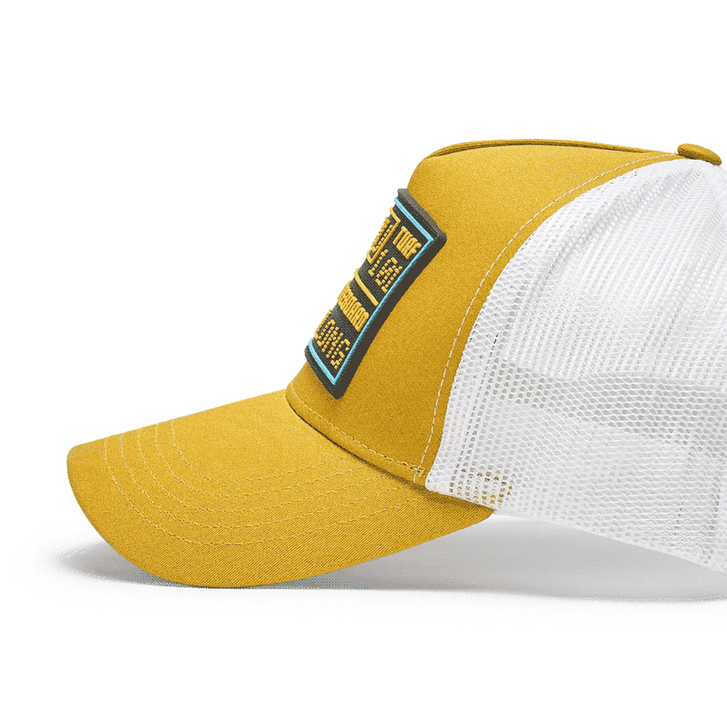 Golden Ochre/Cloud White