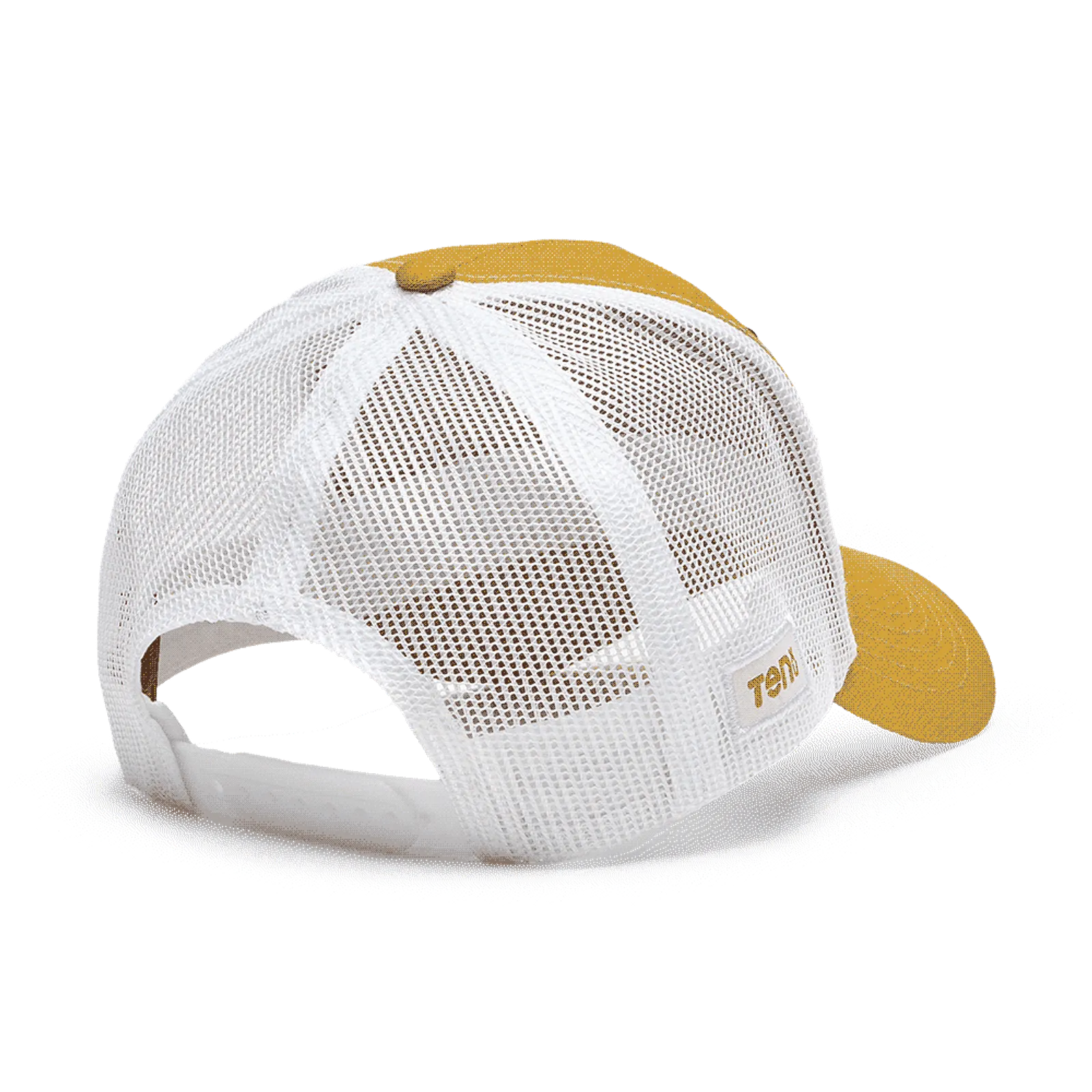 Golden Ochre/Cloud White